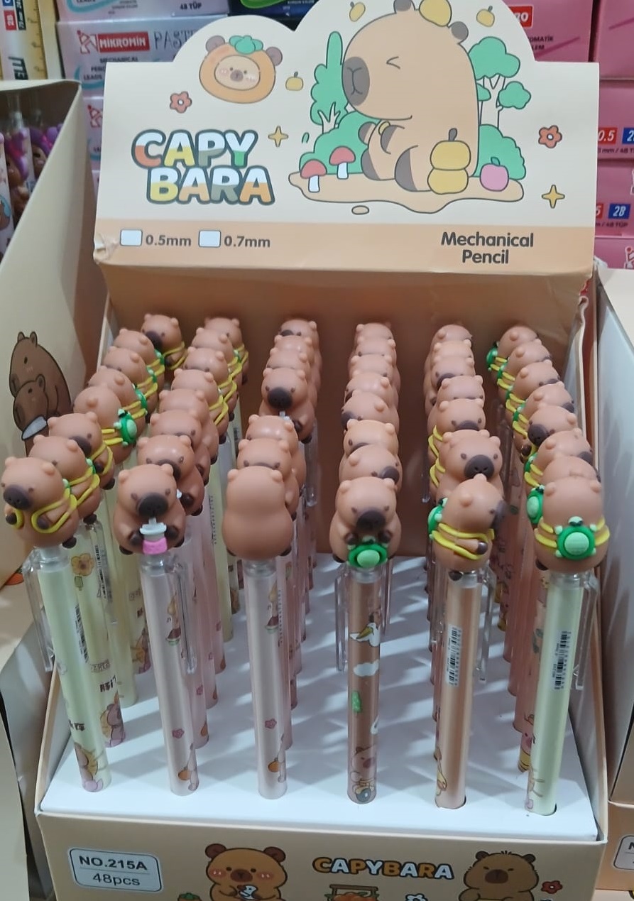 CAPYBARA YUMURTLAYAN KALEM 48 Lİ - ÇINAR - 1036