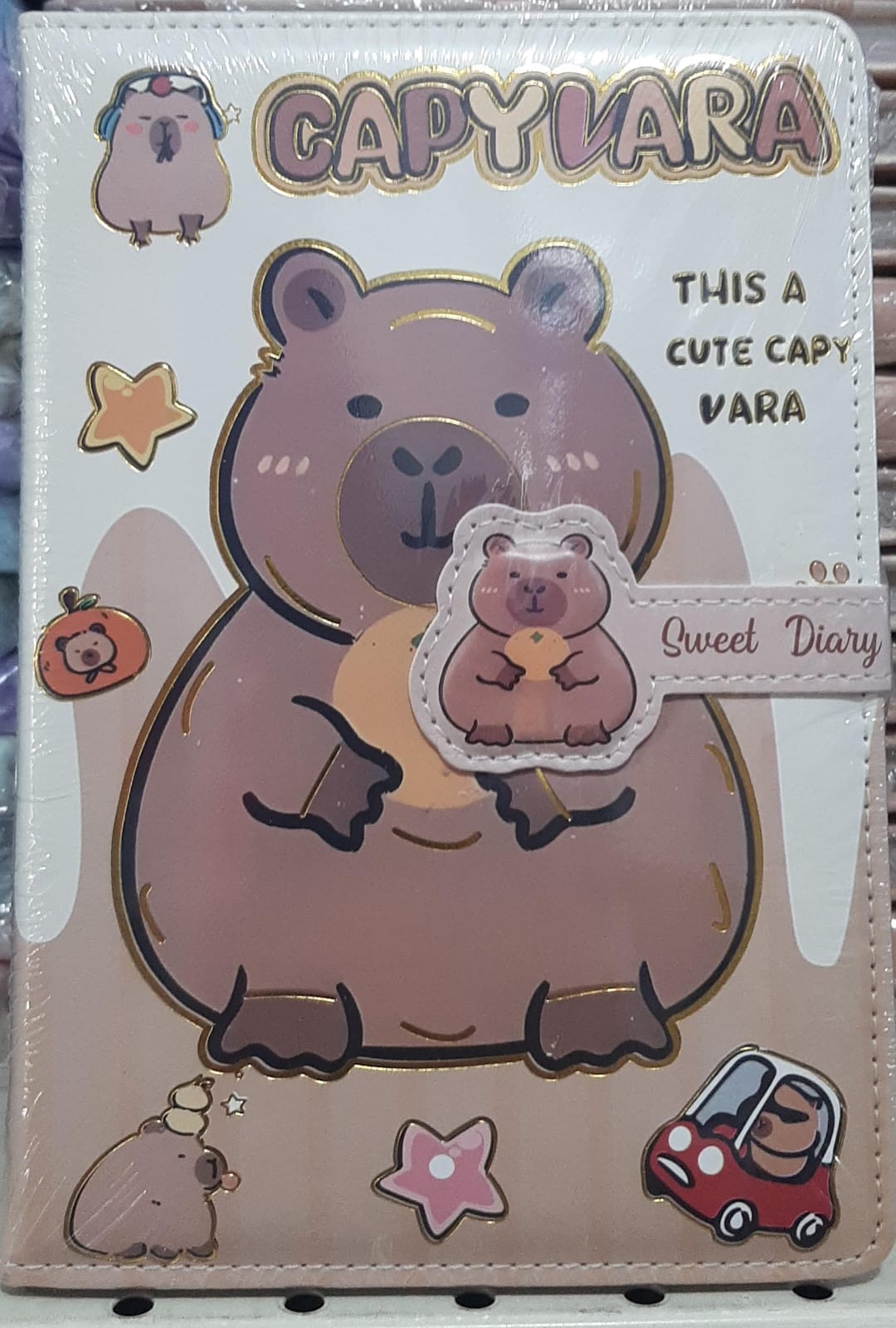 GÜNLÜK DEFTER CAPYBARA MİKRO GN650