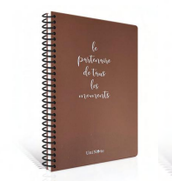 METALLIUM  SERT KAPAK SPİRALLİ 17X24 DEFTER ÇİZGİLİ 120 YP - DEFNE - DFN6594