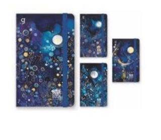 BLUE BOOK İP DİK. SERT KAPAK KAP DEF. 13X21 96 CİZ DÜZ GIPTA - 7412