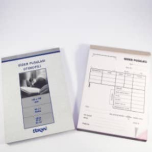 ÖZKAN-G0132 GİDER PUSULASI OTOKOPİLİ