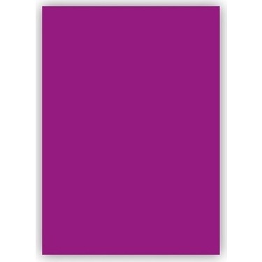 VIVA-2120 PUTI FON KARTONU 50X70 CM 100 LÜ MOR